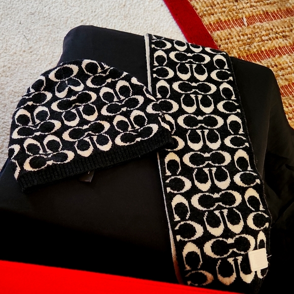 Merino Wool Hat and Scarf Set - Picture 1 of 4